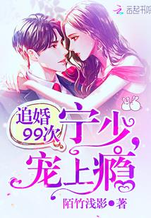 追婚99次:宁少,宠上瘾